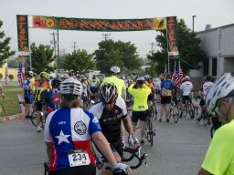 Red Poppy - BAR_5674